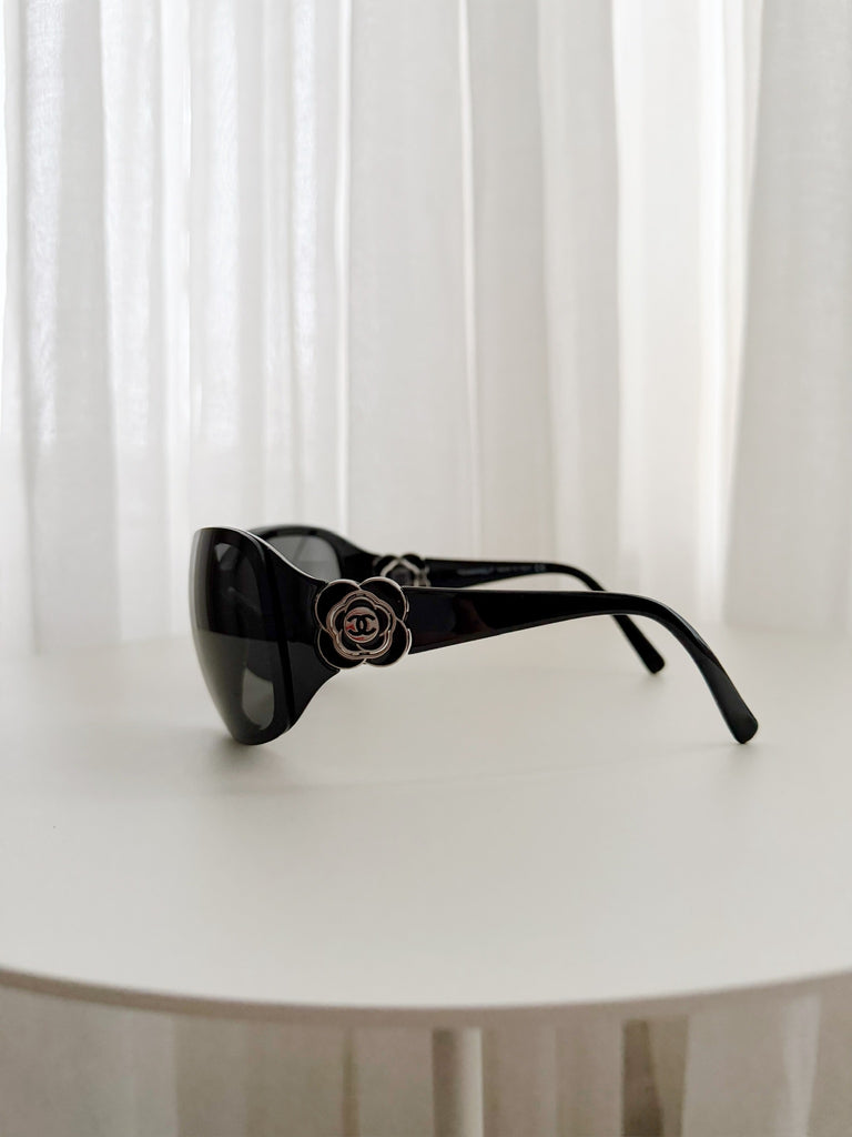 Shield Sunglasses