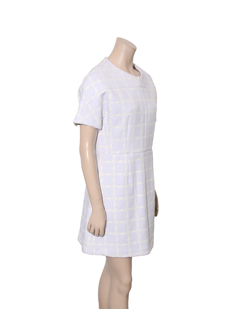 Short Sleeve Mini Dress