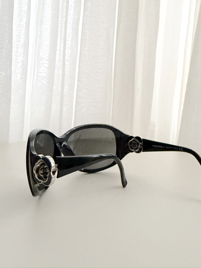 Shield Sunglasses