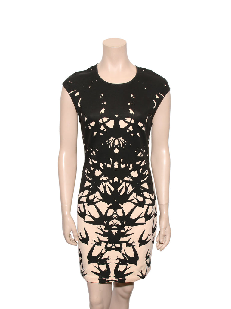 Alexander McQueen Printed Dress