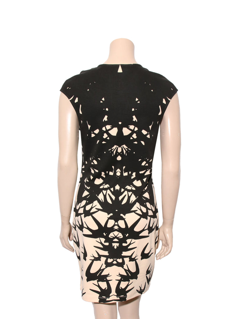 Alexander McQueen Printed Dress