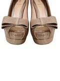 Metallic Platform Pumps