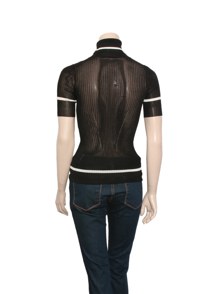 Sheer Short Sleeve Turtleneck