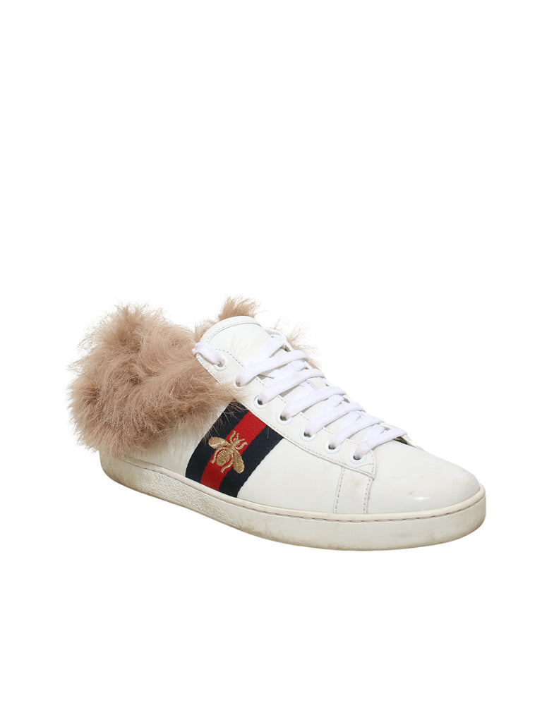 Gucci Ace Sneakers