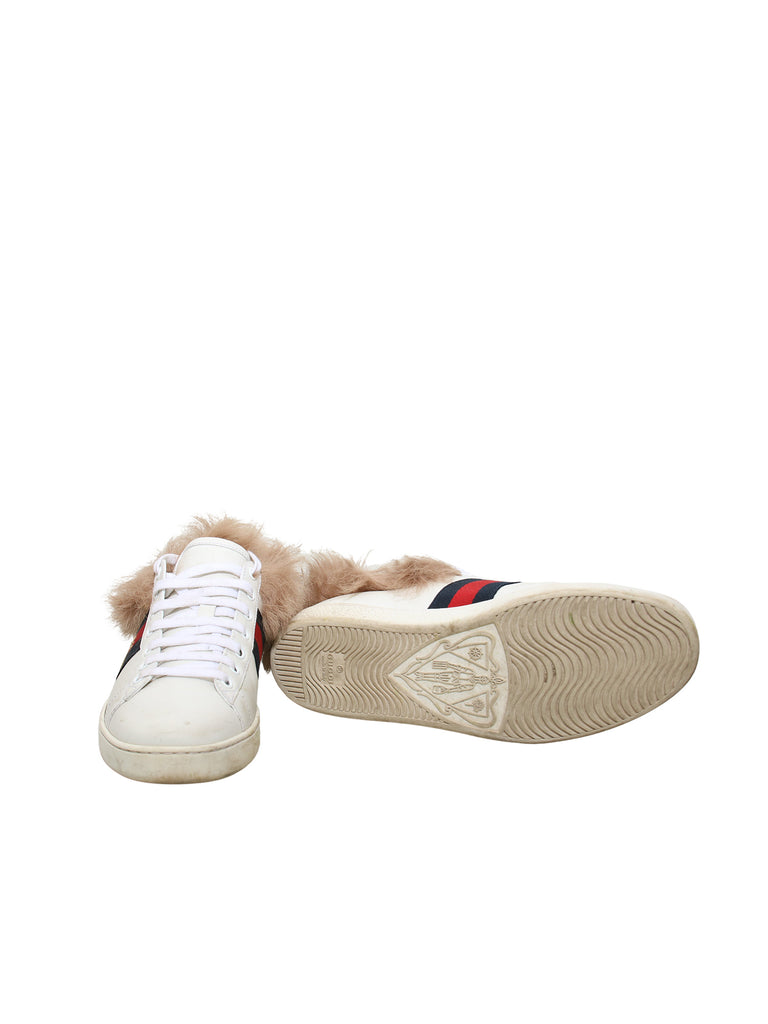 Gucci Ace Sneakers