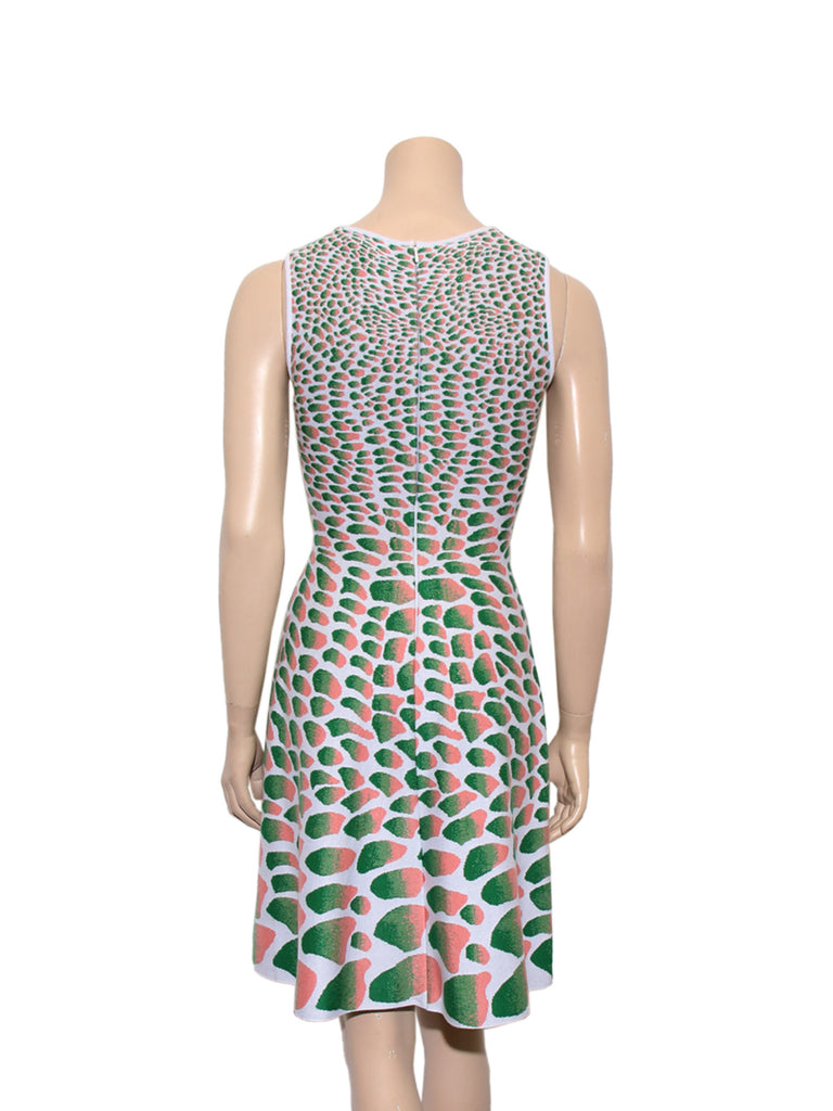 Issa Printed Knit Dress