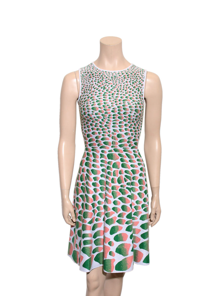 Issa Printed Knit Dress