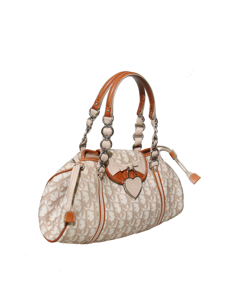 Christian Dior Trotter Romantique Bag