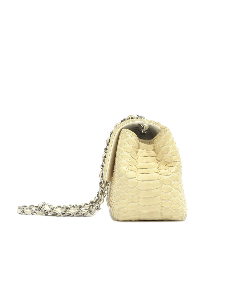 Chanel Snakeskin Flap Bag