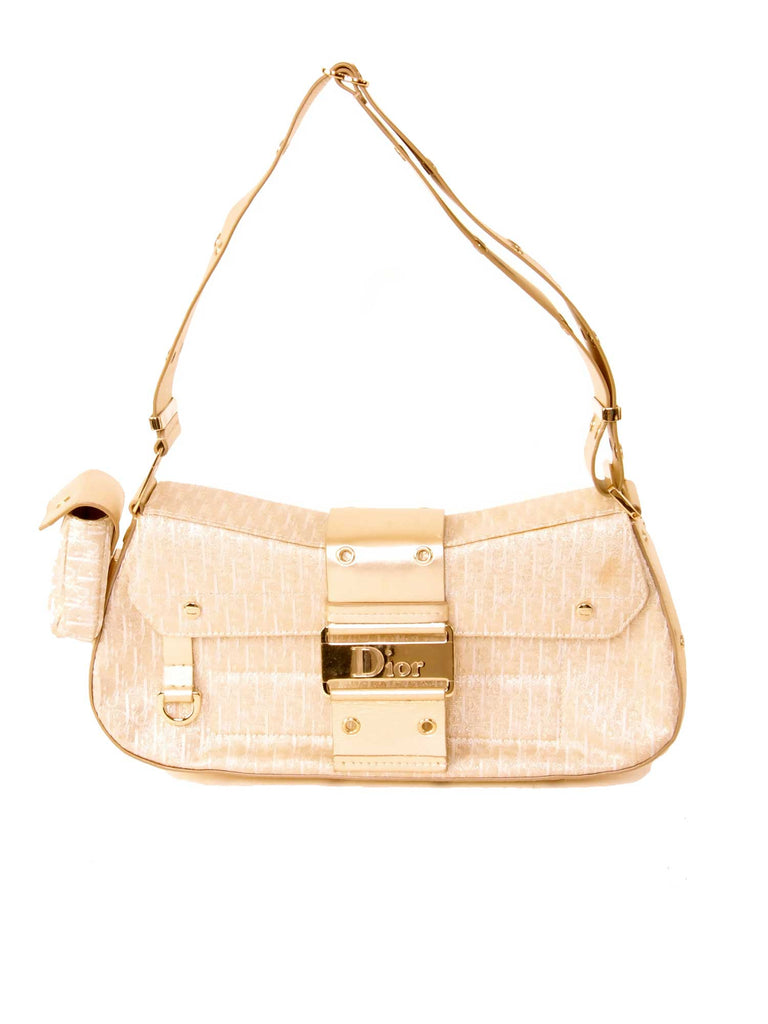 Christian Dior Metallic Canvas Logo Bag