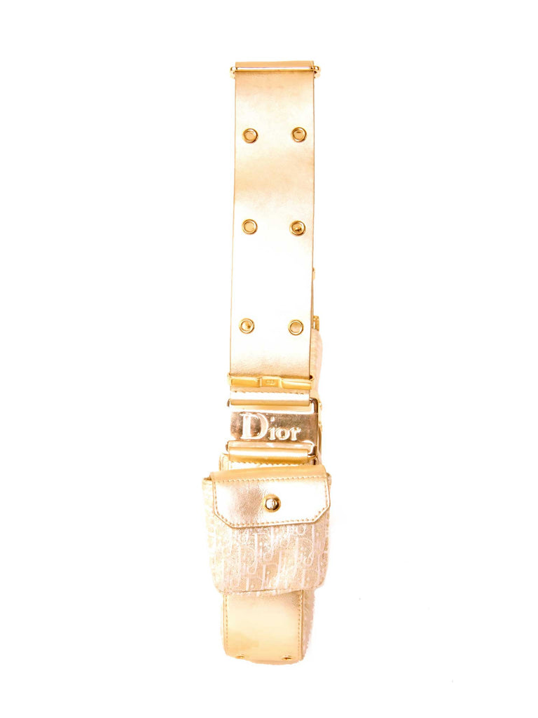 Christian Dior Metallic Canvas Logo Bag