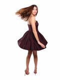 Joie Taffeta Bustier Dress