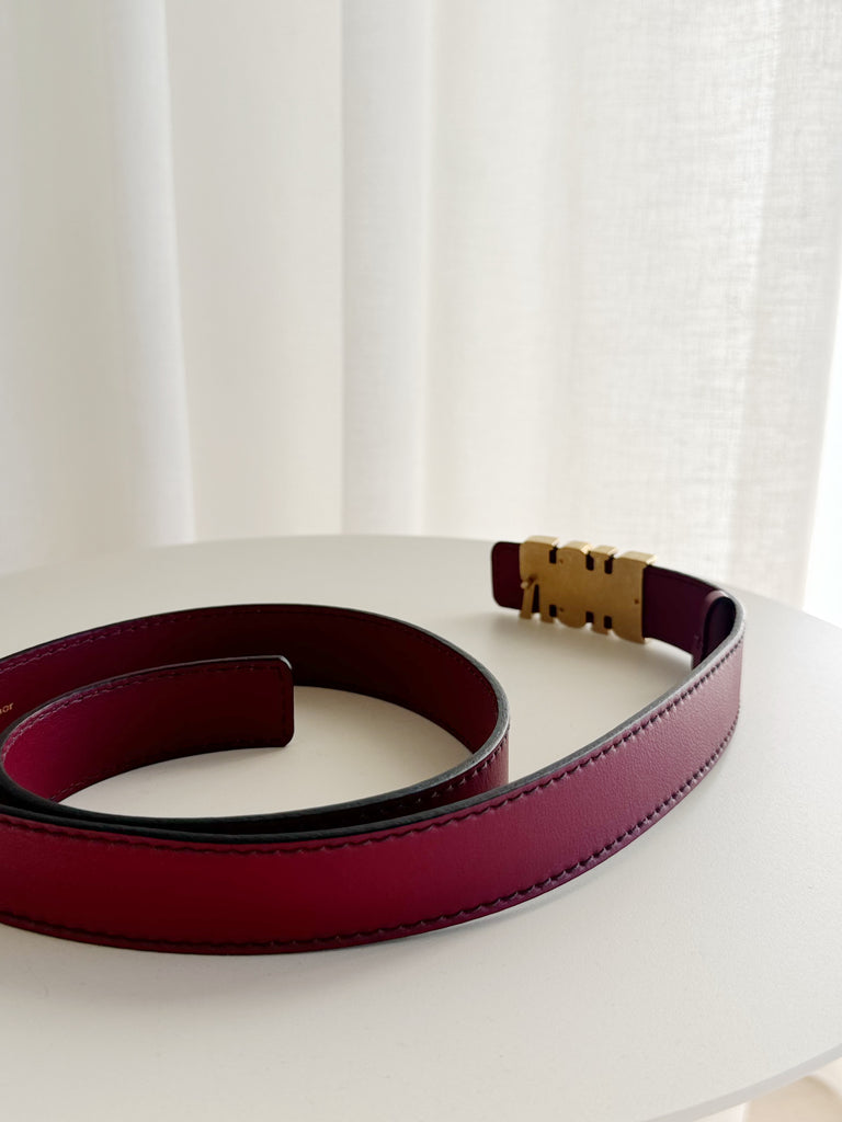 D-Fence Leather Belt