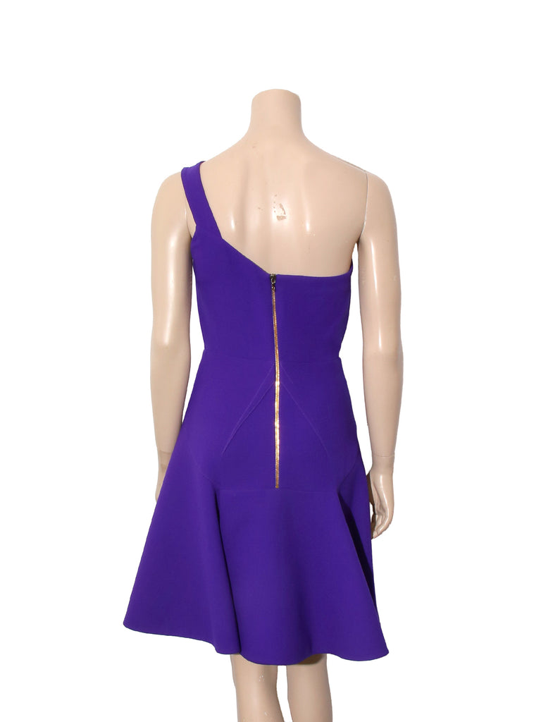 Wool One Sleeve Dress