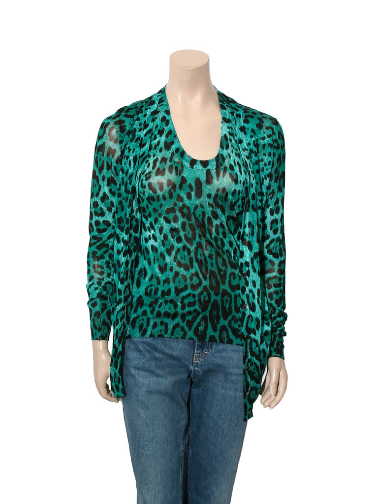 Leopard Print Sweater Set