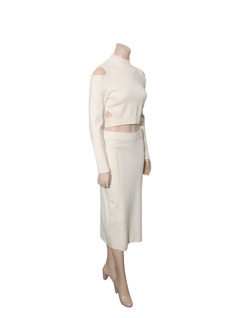 Knit Crop and Midi Skirt Set