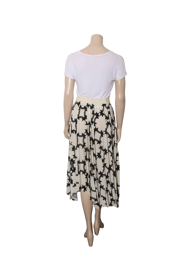 Printed Pleated Toluca  Skirt