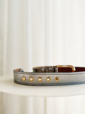Metallic Leather Belt