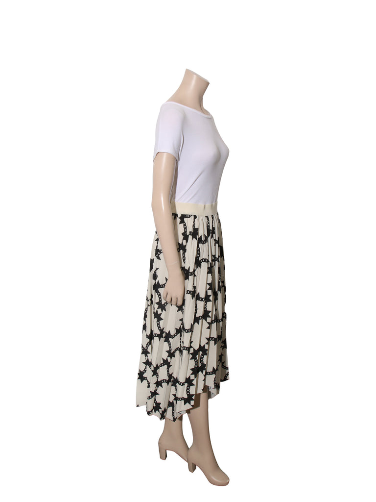 Printed Pleated Toluca  Skirt