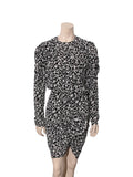 Printed Long Sleeve Dress