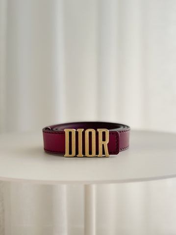 D-Fence Leather Belt