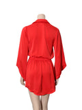 Long Sleeve Dress