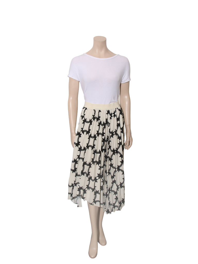Printed Pleated Toluca  Skirt