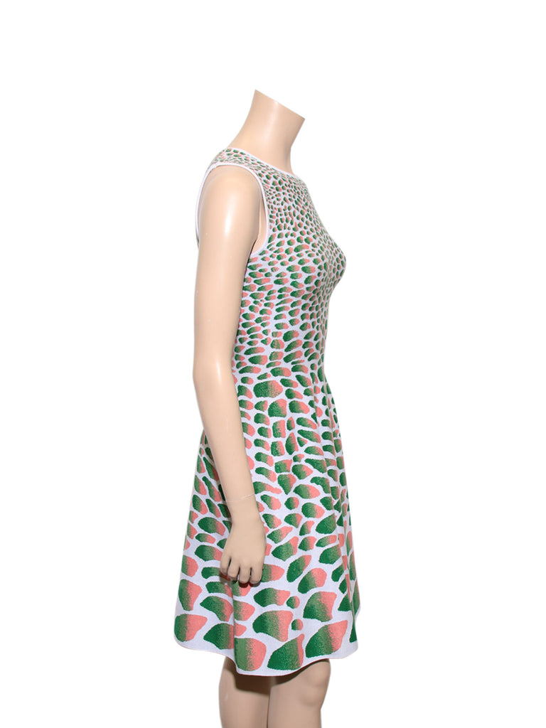 Issa Printed Knit Dress