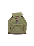 Louis Vuitton Mini Lin Montsouris Backpack